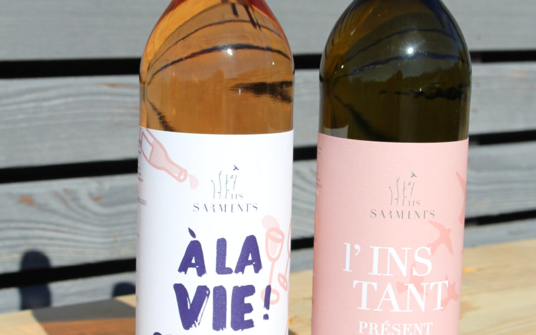 Sortie des premiers vins de la cuvée 2025!